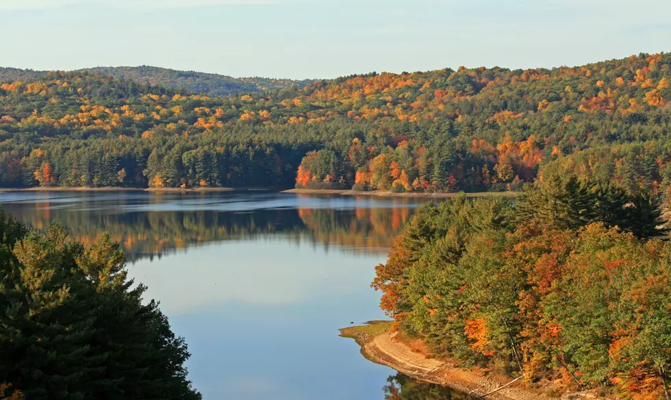 7 Reasons You Should NOT Move to Connecticut