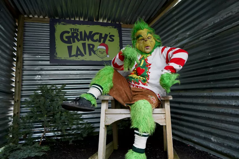 The Grinchiest Christmas Towns and Cities in Connecticut (2024)