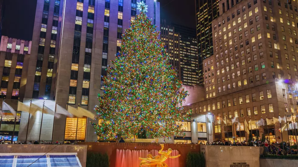 How Many Rockefeller Center Christmas Trees Have Been From The Hudson Valley?